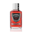 Marvis Cinnamon Mint Concentrated Mouthwash