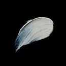 Formidable Zeal Paste