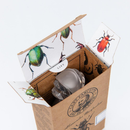 Captain Fawcett Alessandro Manfredini Eau de Parfum